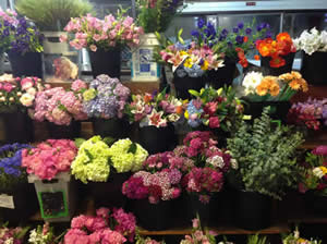 Flowers from Womens Farm Market