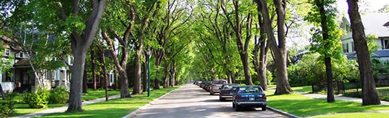 Existing Neighborhood Street
