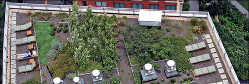 Green Roof