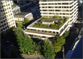 Green roof.