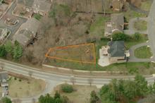 Category II Tree Easement