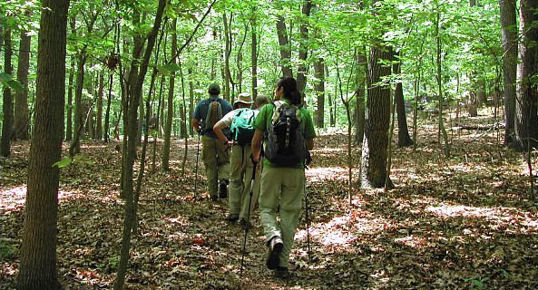 Forest Conservation