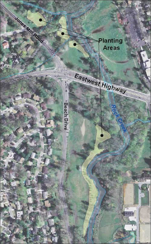 Rock Creek Reforestation Aerial Map