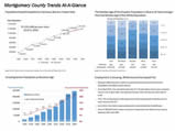 Trends-at-a-glance