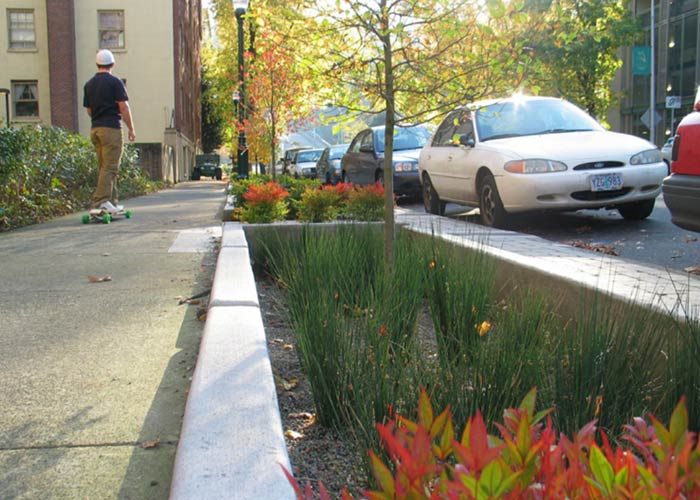 Most development in Glenmont was built before stormwater regulations.  Redevelopment provides an opportunity to reduce storm water runoff and increase the tree canopy in the core.