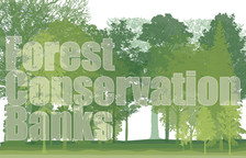Forest Conservation Bank