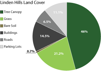 Linden Hills Land Cover