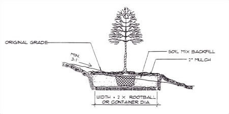 Planting on Slope Specifications