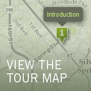 Online map